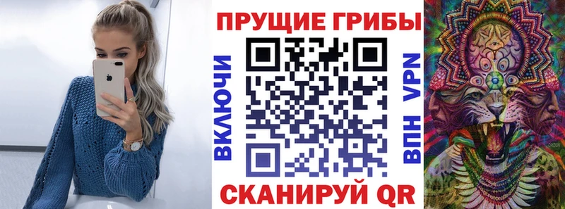 KRAKEN вход  даркнет сайт  Дубовка  Галлюциногенные грибы Magic Shrooms 